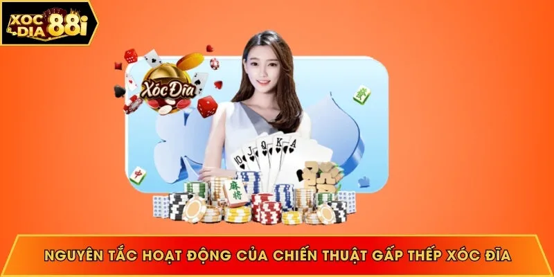 kết quả xóc đĩa