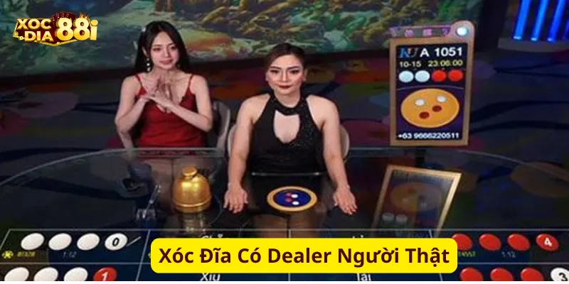 Xóc Đĩa Có Dealer tại Xocdia88